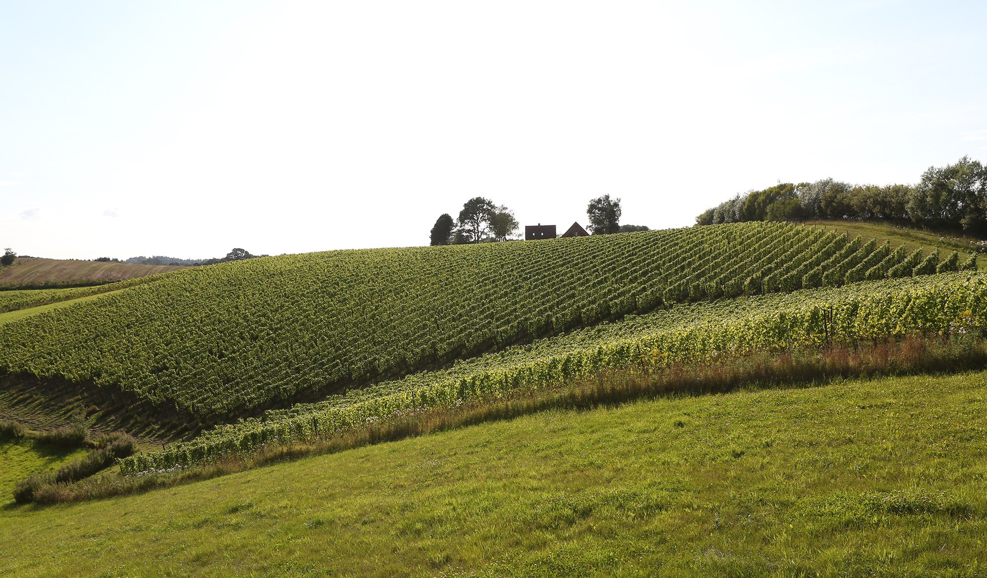 The 27-degree slope